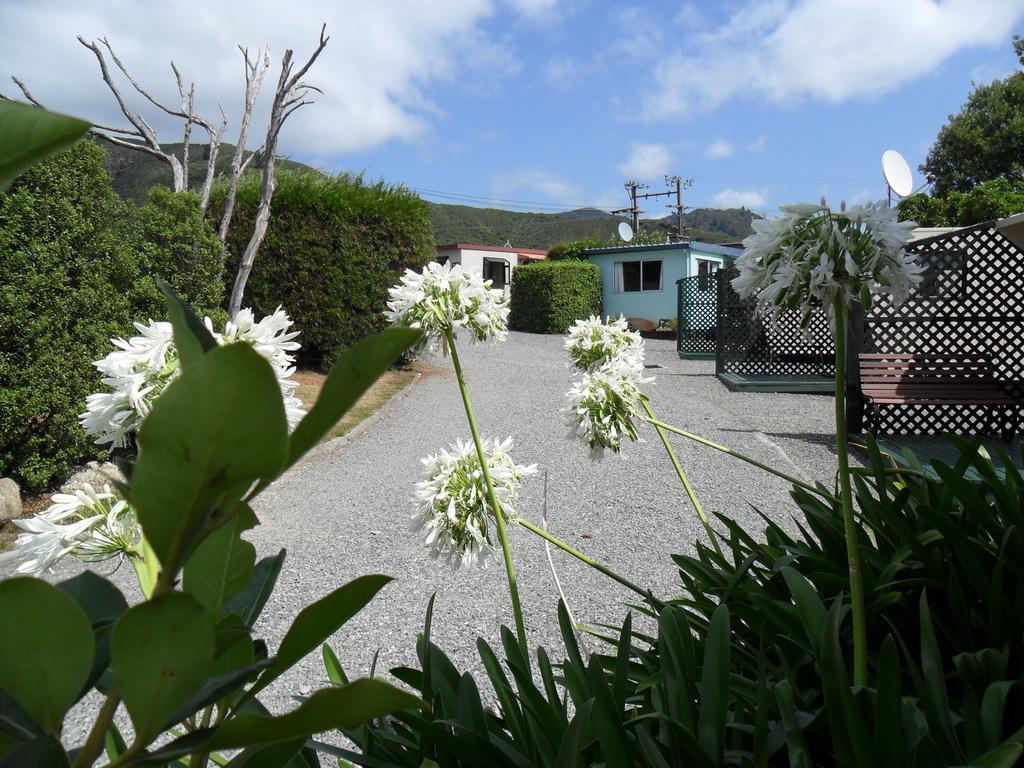 Picton'S Waikawa Bay Holiday Park Exterior photo